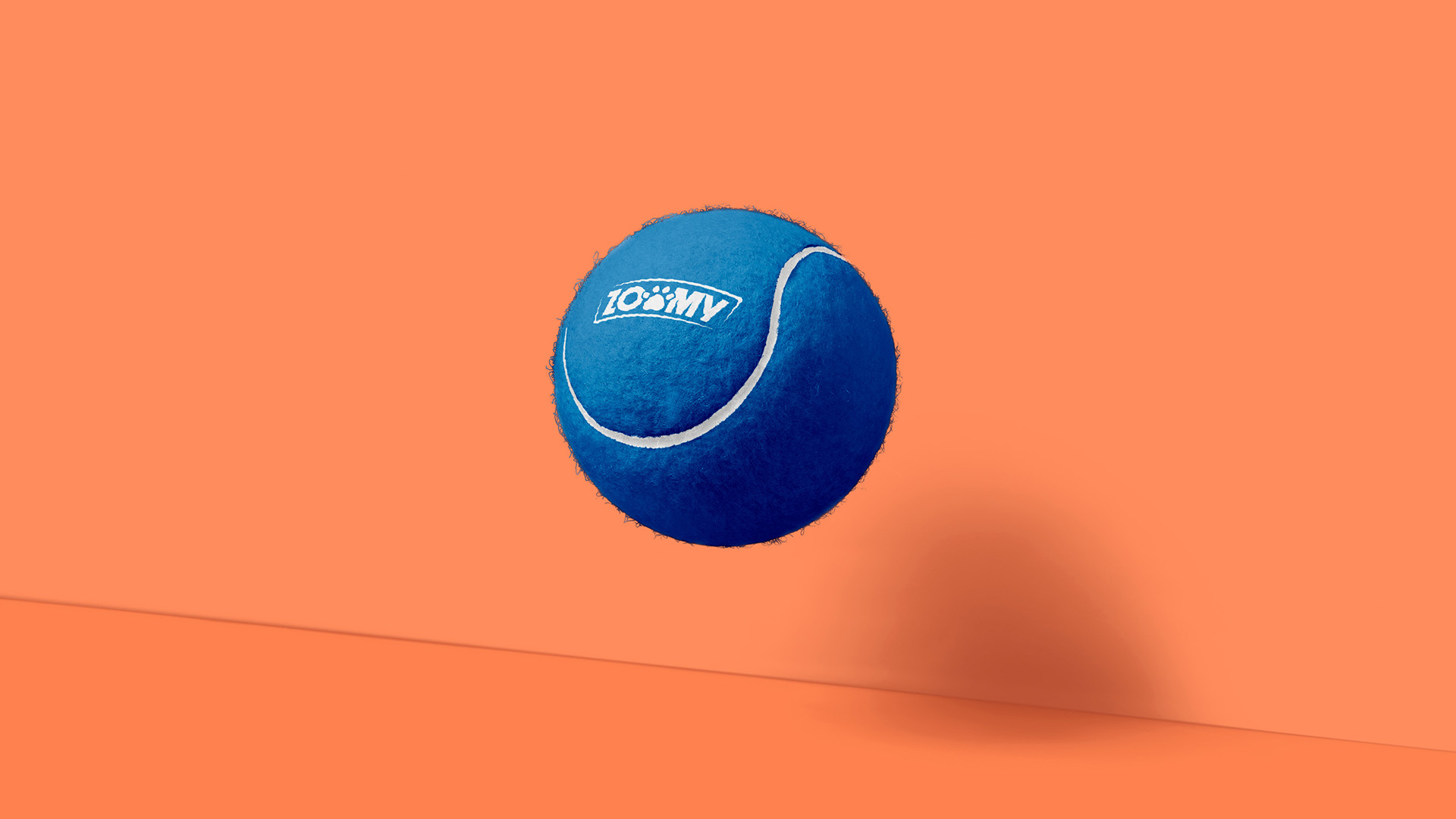 pelota-zoomy